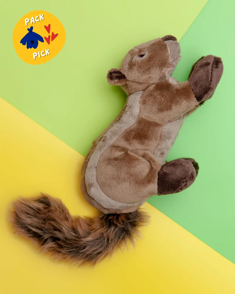Toozey Squeaky plush dog toy image 3